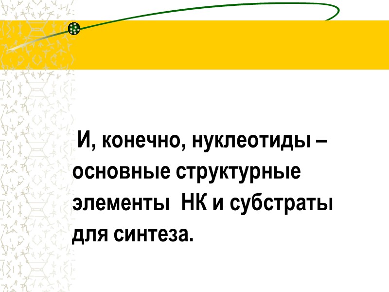 И, конечно, нуклеотиды –          основные